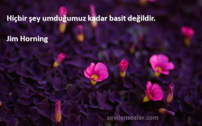 Jim Horning - Hiçbir şey umduğumuz kadar basit değildir.