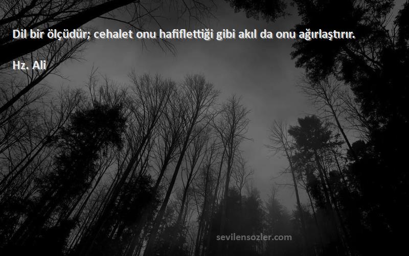 Hz. Ali - Dil bir ölçüdür; cehalet onu hafiflettiği gibi akıl da onu ağırlaştırır.