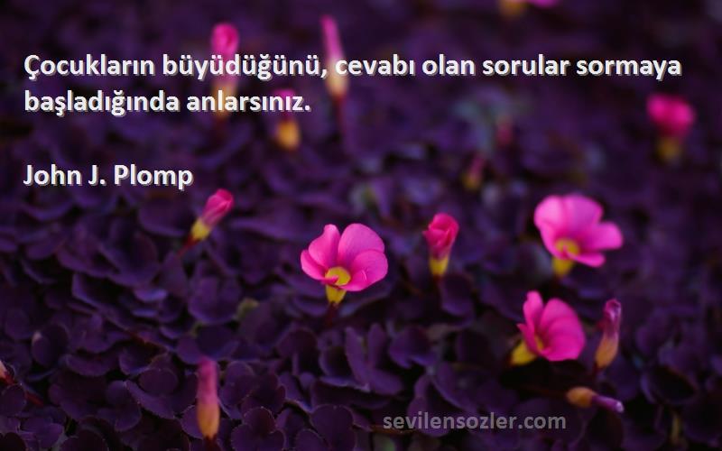 John J. Plomp - Çocukların büyüdüğünü, cevabı olan sorular sormaya başladığında anlarsınız.