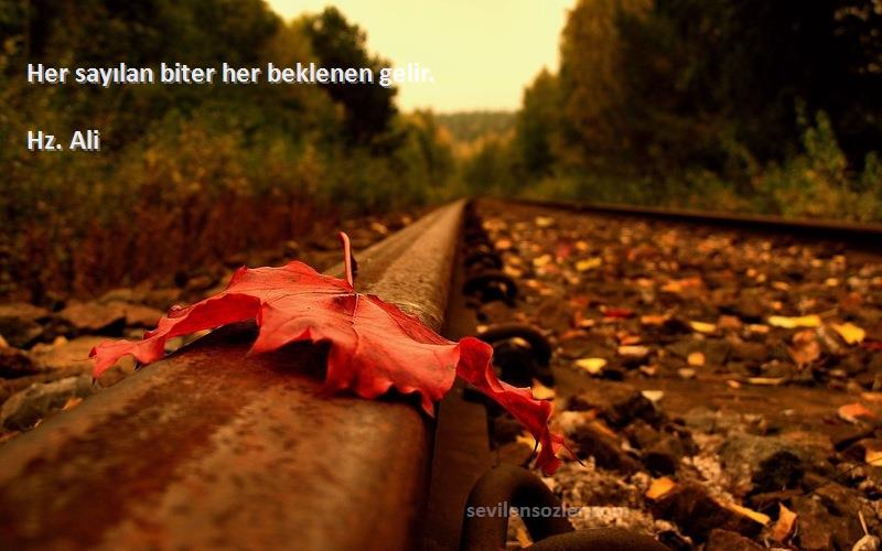 Hz. Ali - Her sayılan biter her beklenen gelir.