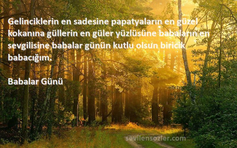 Babalar Günü Sözleri 
Gelinciklerin en sadesine papatyaların en güzel kokanına güllerin en güler yüzlüsüne babaların en sevgilisine babalar günün kutlu olsun biricik babacığım.