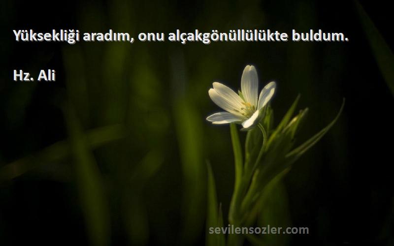 Hz. Ali - Yüksekliği aradım, onu alçakgönüllülükte buldum.