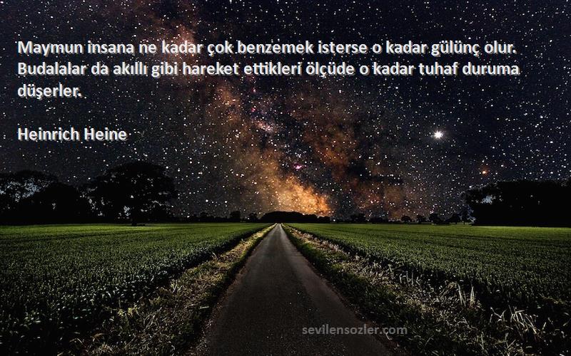 Heinrich Heine Sözleri 
Maymun insana ne kadar çok benzemek isterse o kadar gülünç olur. Budalalar da akıllı gibi hareket ettikleri ölçüde o kadar tuhaf duruma düşerler.