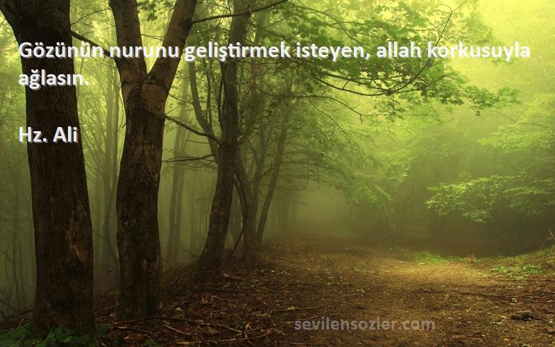 Hz. Ali - Gözünün nurunu geliştirmek isteyen, allah korkusuyla ağlasın.