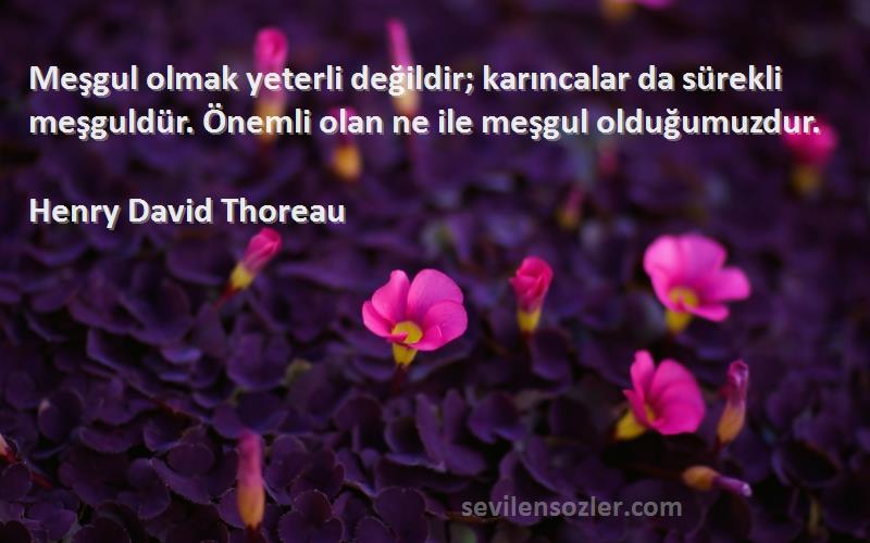 Henry David Thoreau Sözleri 
Meşgul olmak yeterli değildir; karıncalar da sürekli meşguldür. Önemli olan ne ile meşgul olduğumuzdur.