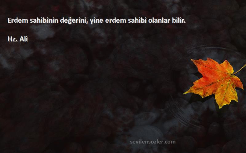 Hz. Ali - Erdem sahibinin değerini, yine erdem sahibi olanlar bilir.