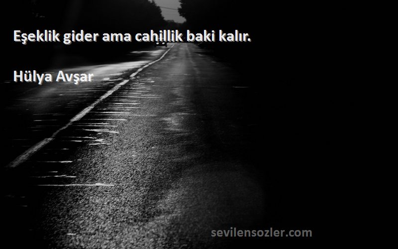 Hülya Avşar - Eşeklik gider ama cahillik baki kalır.