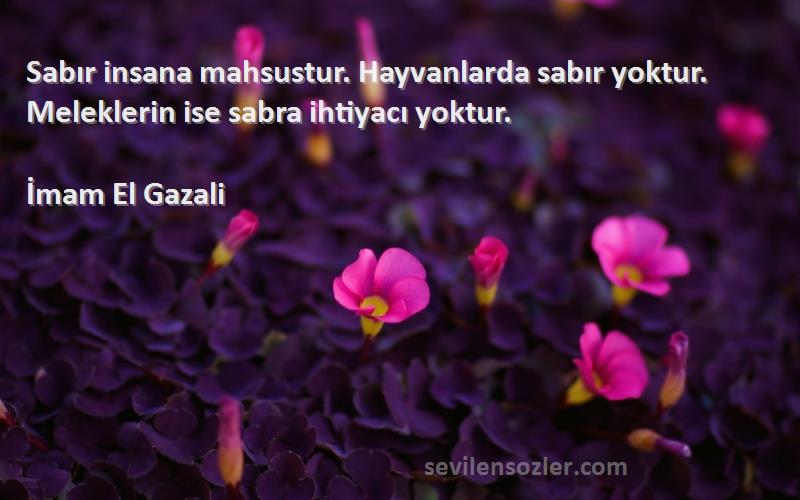 İmam El Gazali Sözleri 
Sabır insana mahsustur. Hayvanlarda sabır yoktur. Meleklerin ise sabra ihtiyacı yoktur.