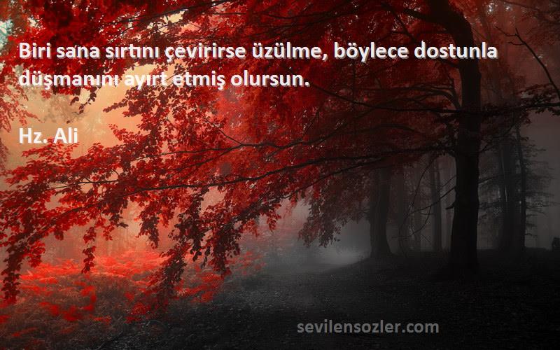 Hz. Ali - Biri sana sırtını çevirirse üzülme, böylece dostunla düşmanını ayırt etmiş olursun.
