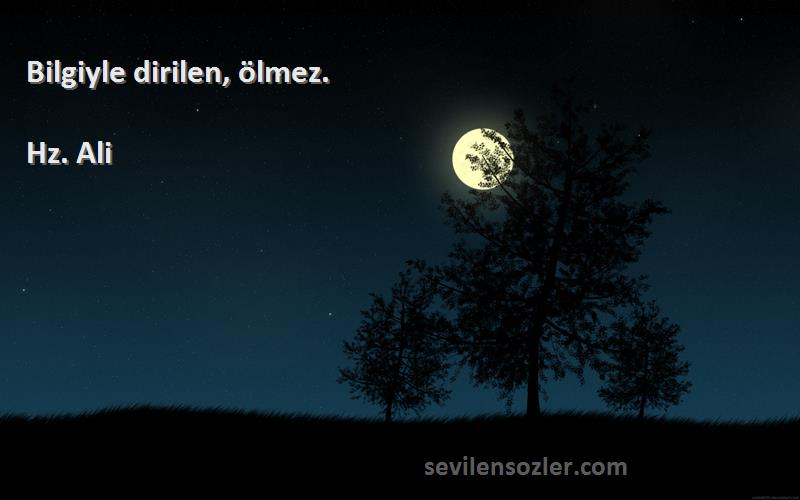 Hz. Ali - Bilgiyle dirilen, ölmez.
