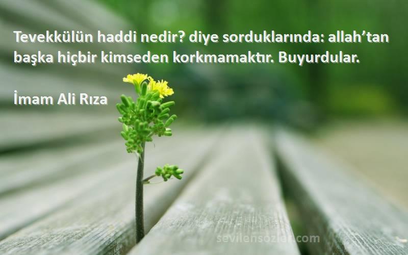 İmam Ali Rıza Sözleri 
Tevekkülün haddi nedir? diye sorduklarında: allah’tan başka hiçbir kimseden korkmamaktır. Buyurdular.