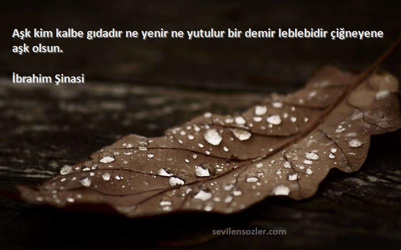 İbrahim Şinasi - Aşk kim kalbe gıdadır ne yenir ne yutulur bir demir leblebidir çiğneyene aşk olsun.