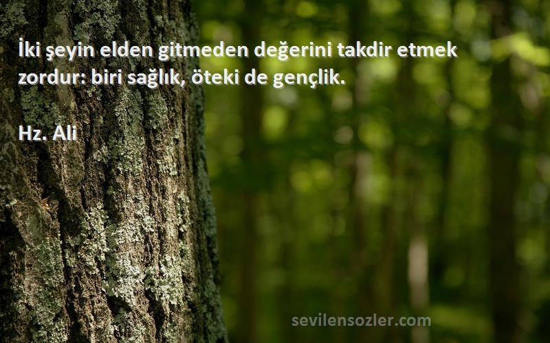 Hz. Ali - İki şeyin elden gitmeden değerini takdir etmek zordur: biri sağlık, öteki de gençlik.