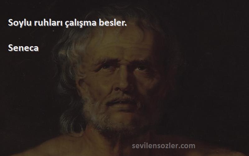 Seneca - Soylu ruhları çalışma besler.
