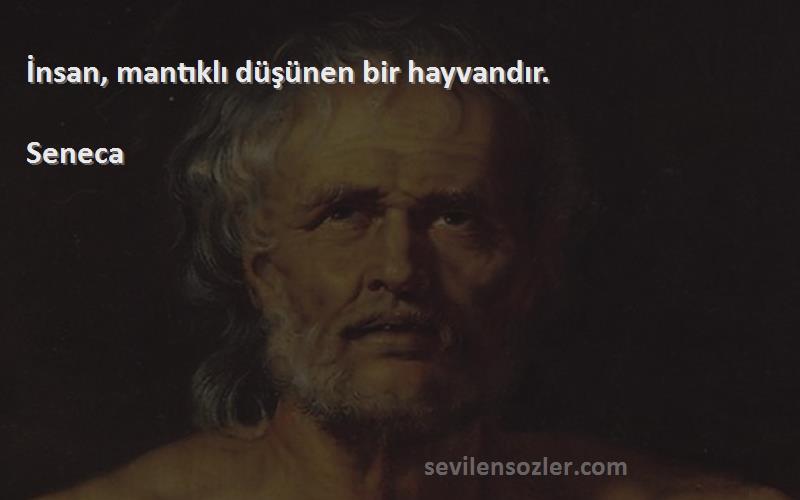 Seneca - İnsan, mantıklı düşünen bir hayvandır.
