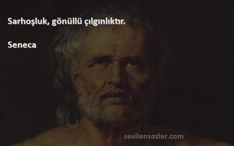 Seneca - Sarhoşluk, gönüllü çılgınlıktır.