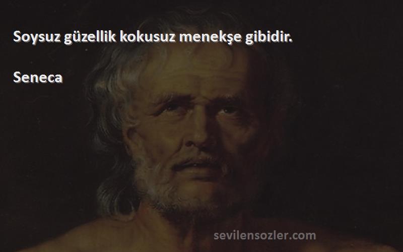 Seneca - Soysuz güzellik kokusuz menekşe gibidir.