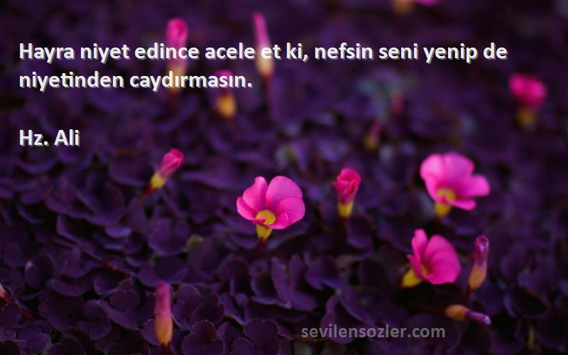 Hz. Ali - Hayra niyet edince acele et ki, nefsin seni yenip de niyetinden caydırmasın.