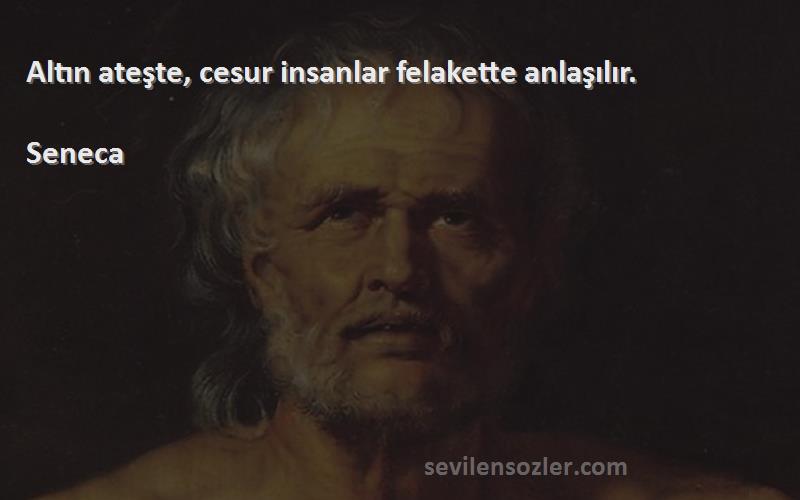 Seneca Sözleri 
Altın ateşte, cesur insanlar felakette anlaşılır.