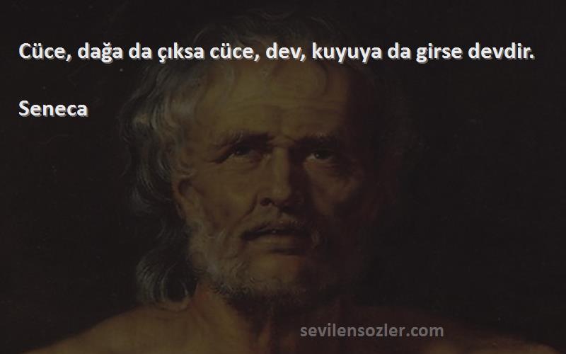 Seneca Sözleri 
Cüce, dağa da çıksa cüce, dev, kuyuya da girse devdir.