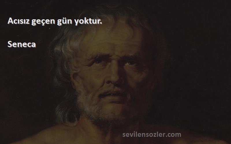 Seneca Sözleri 
Acısız geçen gün yoktur.