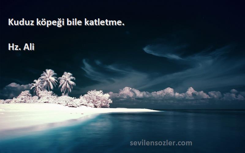 Hz. Ali - Kuduz köpeği bile katletme.