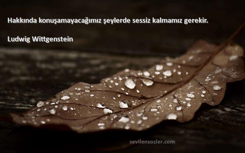 Ludwig Wittgenstein - Hakkında konuşamayacağımız şeylerde sessiz kalmamız gerekir.
