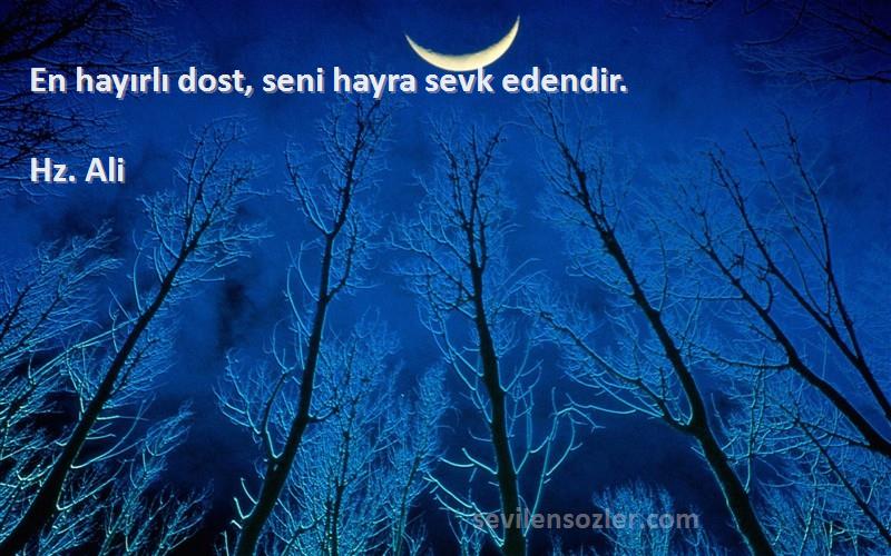 Hz. Ali - En hayırlı dost, seni hayra sevk edendir.