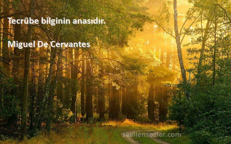Miguel De Cervantes - Tecrübe bilginin anasıdır.