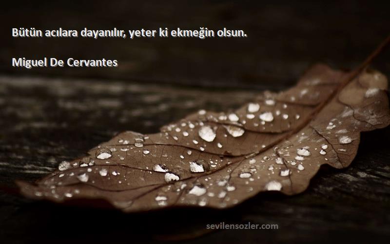 Miguel De Cervantes Sözleri 
Bütün acılara dayanılır, yeter ki ekmeğin olsun.