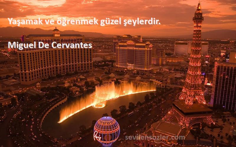 Miguel De Cervantes Sözleri 
Yaşamak ve öğrenmek güzel şeylerdir.