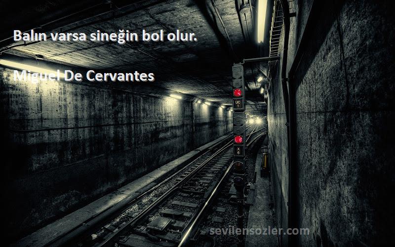 Miguel De Cervantes Sözleri 
Balın varsa sineğin bol olur.