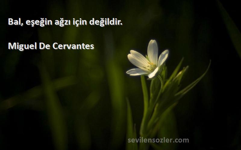 Miguel De Cervantes Sözleri 
Bal, eşeğin ağzı için değildir.