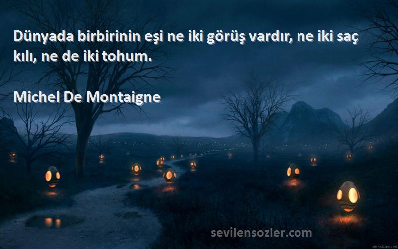 Michel De Montaigne - Dünyada birbirinin eşi ne iki görüş vardır, ne iki saç kılı, ne de iki tohum.
