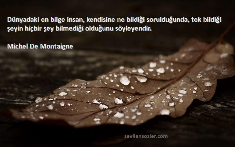 Michel De Montaigne Sözleri 
Dünyadaki en bilge insan, kendisine ne bildiği sorulduğunda, tek bildiği şeyin hiçbir şey bilmediği olduğunu söyleyendir.