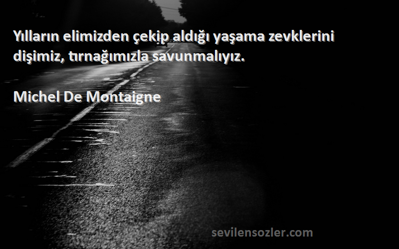 Michel De Montaigne - Yılların elimizden çekip aldığı yaşama zevklerini dişimiz, tırnağımızla savunmalıyız.