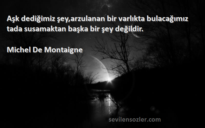 Michel De Montaigne Sözleri 
Aşk dediğimiz şey,arzulanan bir varlıkta bulacağımız tada susamaktan başka bir şey değildir.