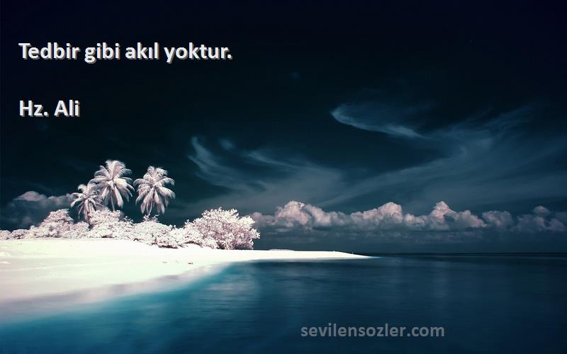 Hz. Ali - Tedbir gibi akıl yoktur.