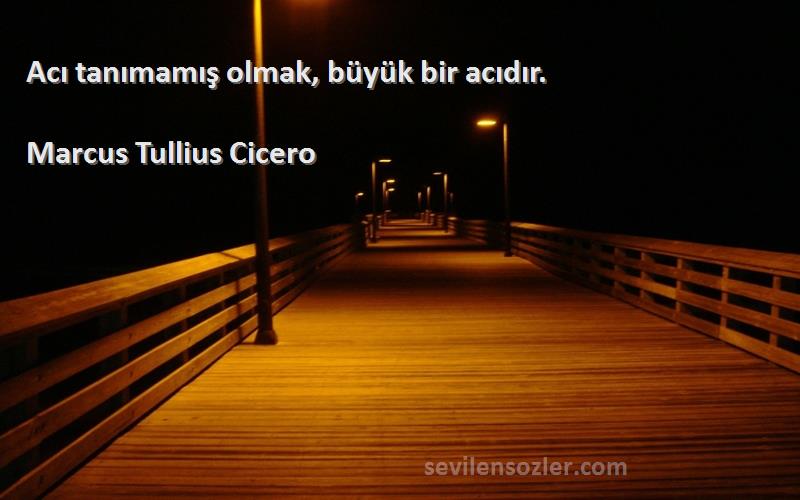 Marcus Tullius Cicero Sözleri 
Acı tanımamış olmak, büyük bir acıdır.