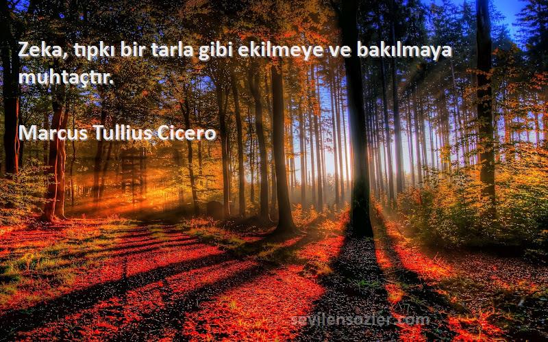 Marcus Tullius Cicero - Zeka, tıpkı bir tarla gibi ekilmeye ve bakılmaya muhtaçtır.