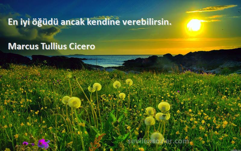 Marcus Tullius Cicero Sözleri 
En iyi öğüdü ancak kendine verebilirsin.