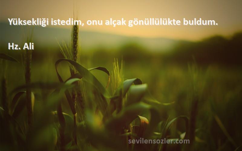 Hz. Ali - Yüksekliği istedim, onu alçak gönüllülükte buldum.