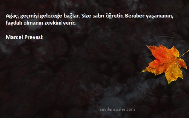 Marcel Prevast - Ağaç, geçmişi geleceğe bağlar. Size sabrı öğretir. Beraber yaşamanın, faydalı olmanın zevkini verir....