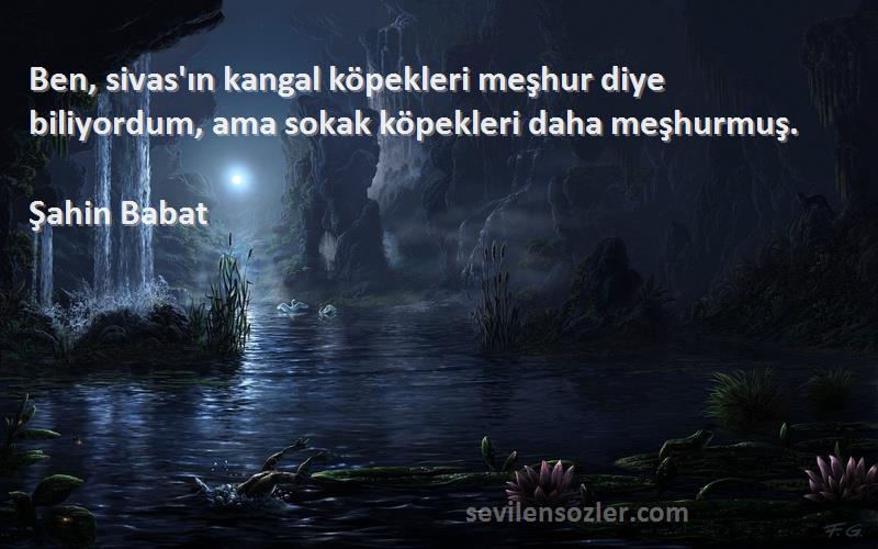 Şahin Babat Sözleri 
Ben, sivas'ın kangal köpekleri meşhur diye biliyordum, ama sokak köpekleri daha meşhurmuş.