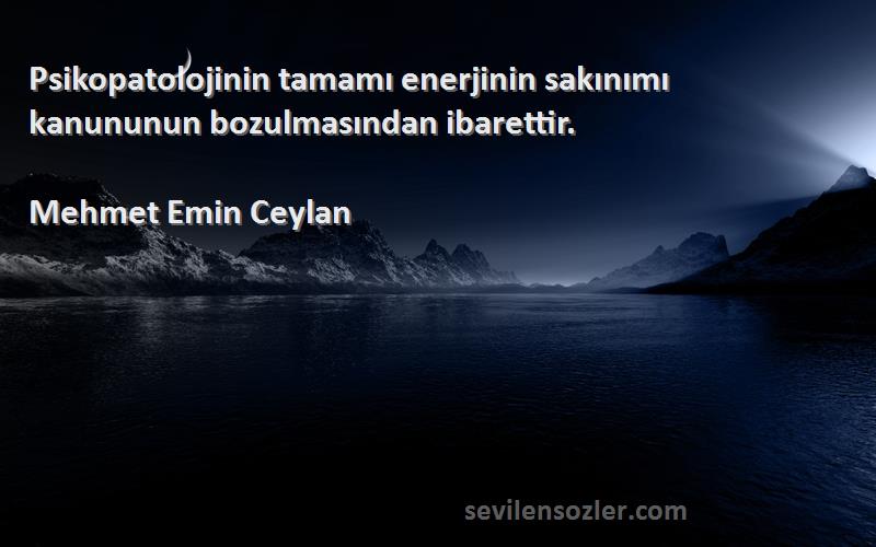 Mehmet Emin Ceylan - Psikopatolojinin tamamı enerjinin sakınımı kanununun bozulmasından ibarettir.