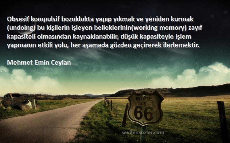 Mehmet Emin Ceylan Sözleri 
Obsesif kompulsif bozuklukta yapıp yıkmak ve yeniden kurmak(undoing) bu kişilerin işleyen belleklerinin(working memory) zayıf kapasiteli olmasından kaynaklanabilir, düşük kapasiteyle işlem yapmanın etkili yolu, her aşamada gözden geçirerek ilerlemektir.