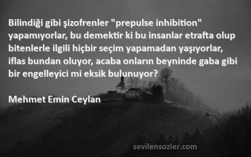 Mehmet Emin Ceylan Sözleri 
Bilindiği gibi şizofrenler prepulse inhibition yapamıyorlar, bu demektir ki bu insanlar etrafta olup bitenlerle ilgili hiçbir seçim yapamadan yaşıyorlar, iflas bundan oluyor, acaba onların beyninde gaba gibi bir engelleyici mi eksik bulunuyor?