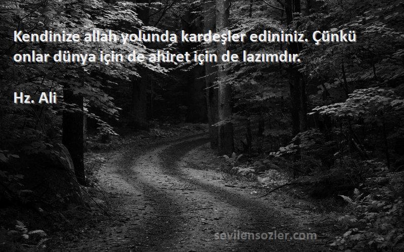 Hz. Ali - Kendinize allah yolunda kardeşler edininiz. Çünkü onlar dünya için de ahiret için de lazımdır.