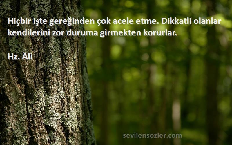 Hz. Ali - Hiçbir işte gereğinden çok acele etme. Dikkatli olanlar kendilerini zor duruma girmekten korurlar.