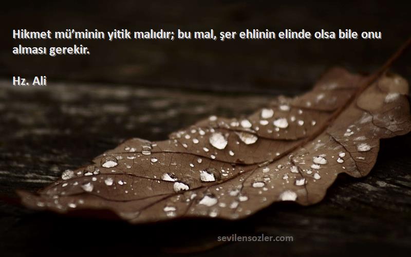 Hz. Ali - Hikmet mü’minin yitik malıdır; bu mal, şer ehlinin elinde olsa bile onu alması gerekir.